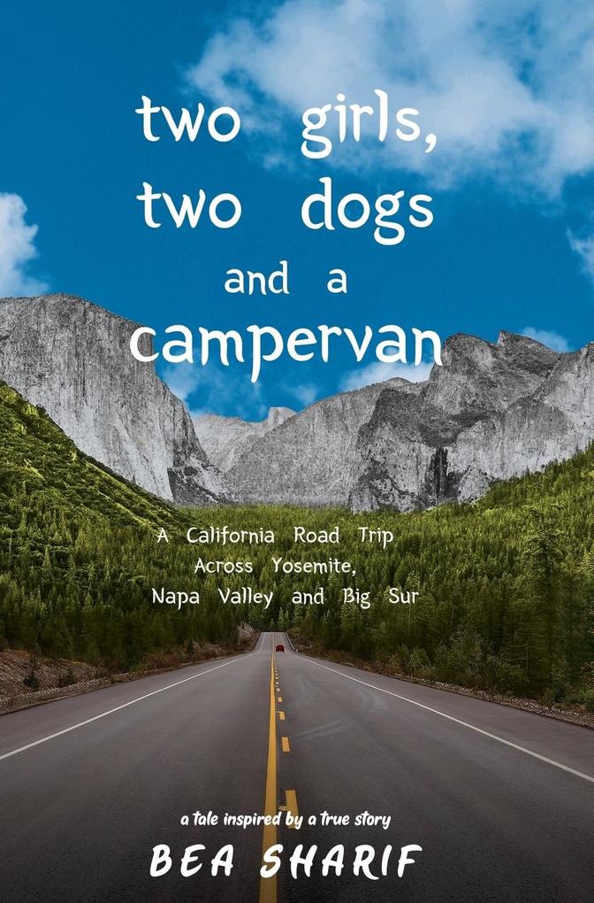 Two Girls Two Dogs and a Campervan