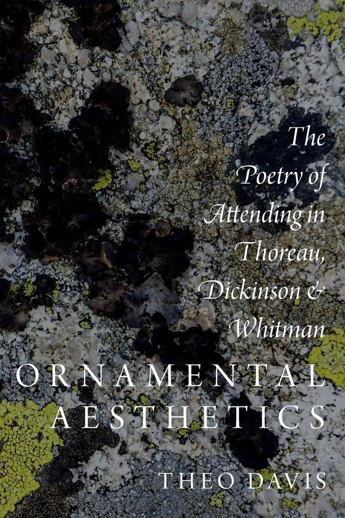 Ornamental Aesthetics