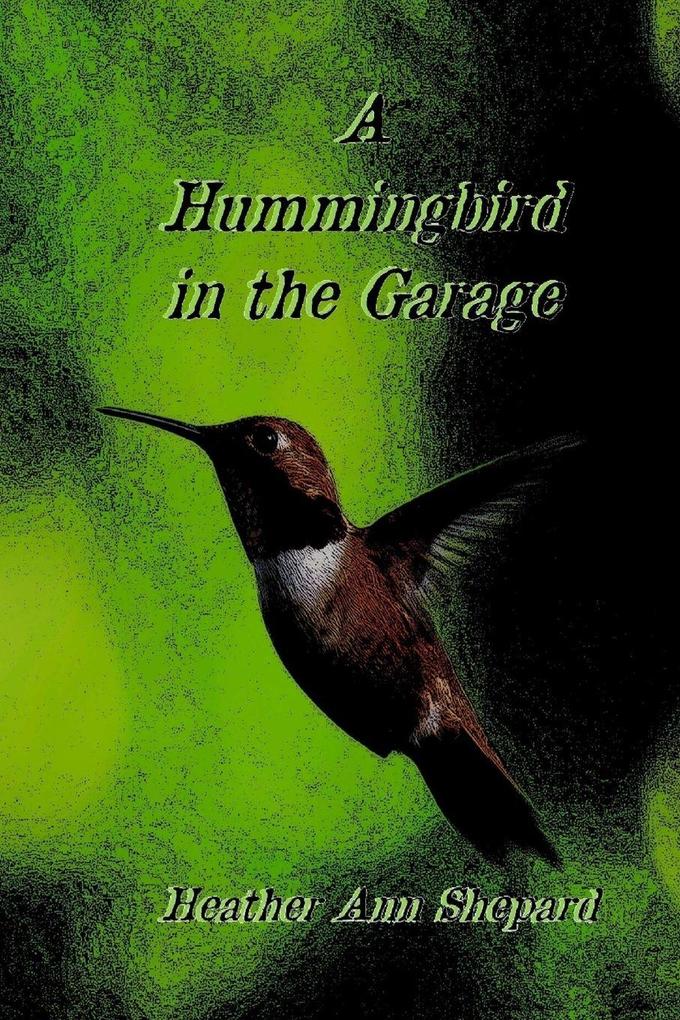 A Hummingbird in the Garage