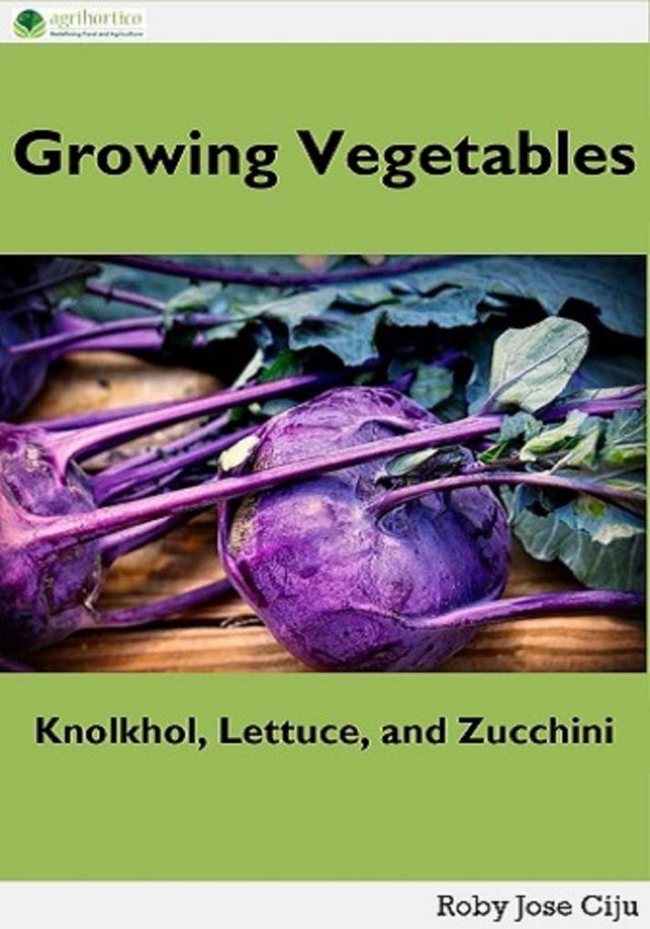 Growing Vegetables: Knolkhol Lettuce and Zucchini