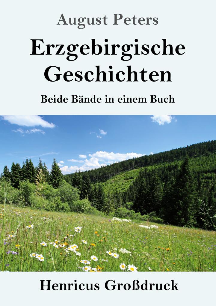 Image of Erzgebirgische Geschichten (Großdruck)