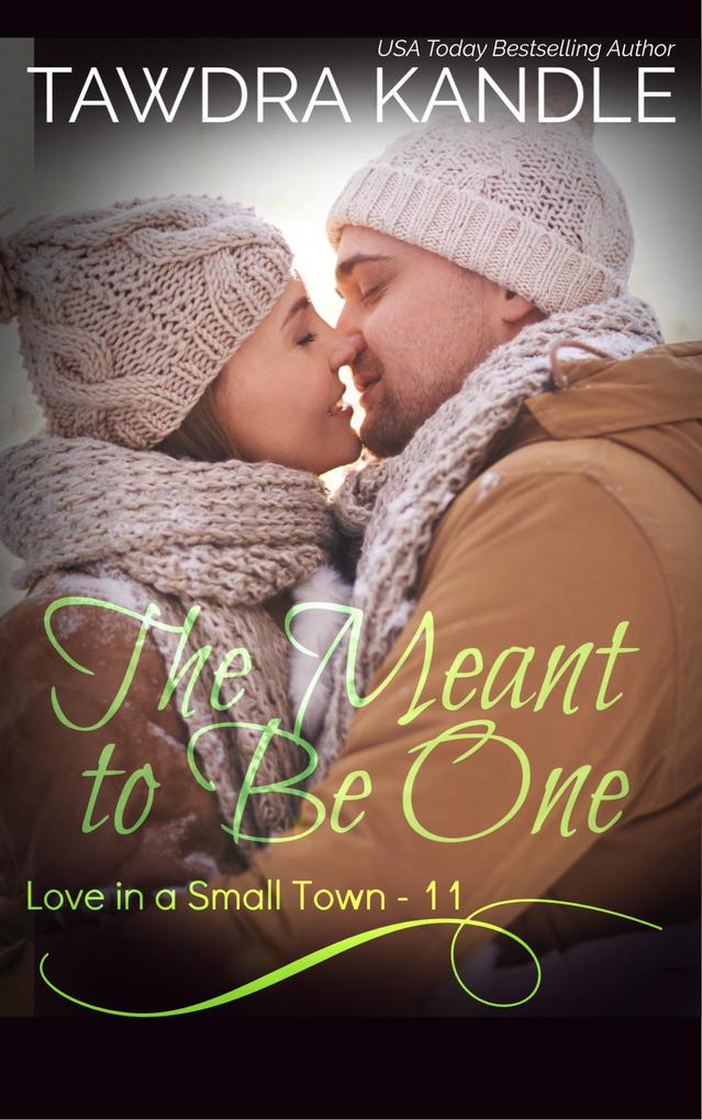 The Meant To Be One (Love in a Small Town #11)