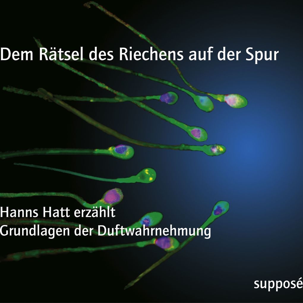 Dem Rätsel des Riechens auf der Spur