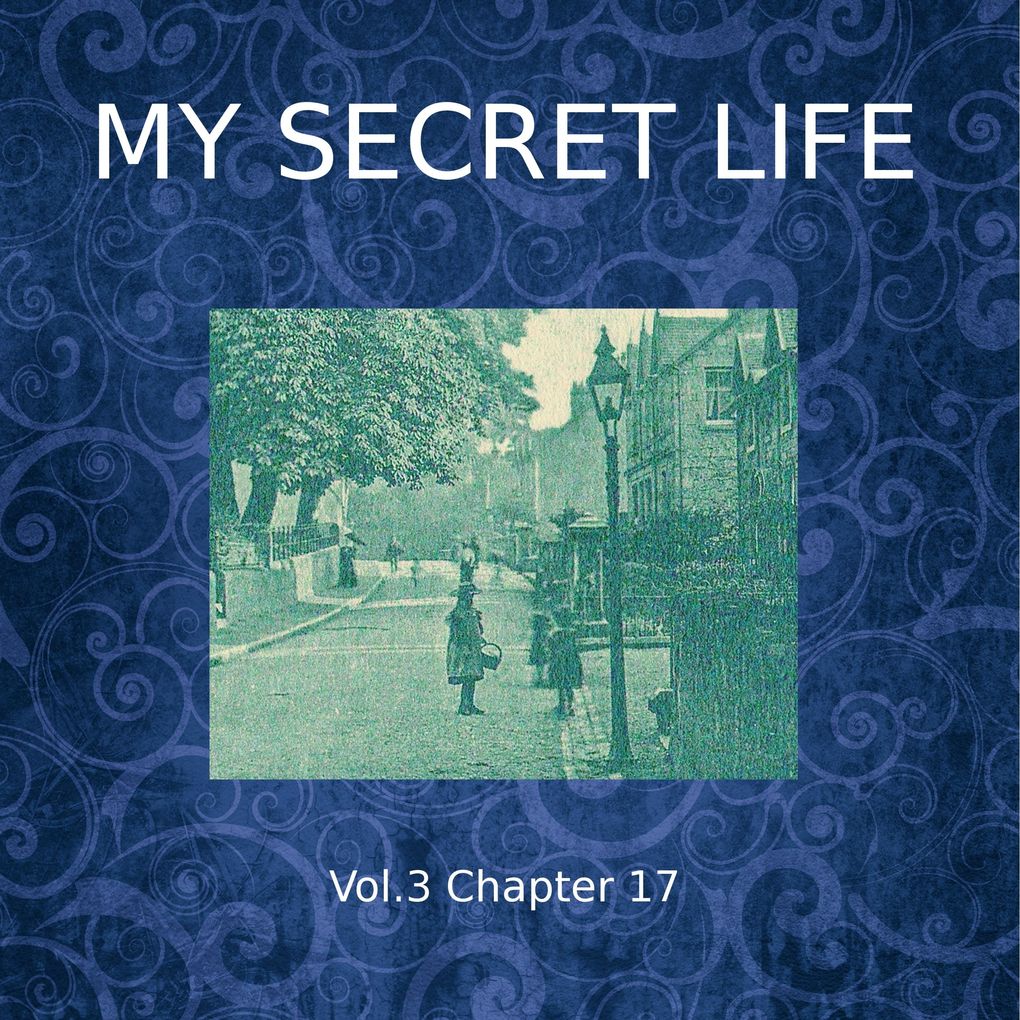 My Secret Life Vol. 3 Chapter 17