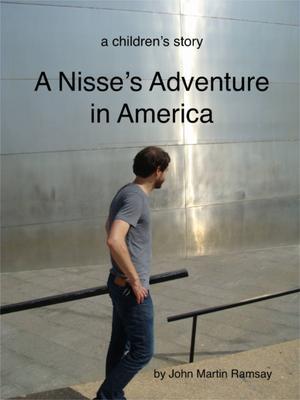 A Nisse‘s Adventure in America