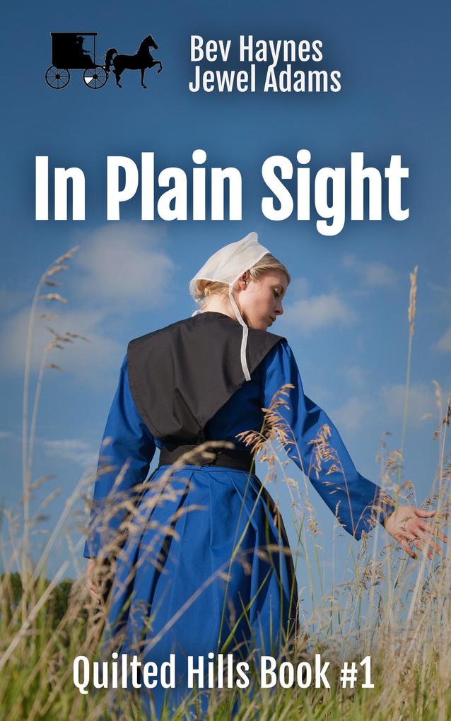 In Plain Sight (Quilted Hills #1)