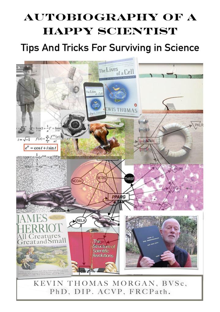 Autobiography of a Happy Scientist: Tips and Tricks for Surviving in Science
