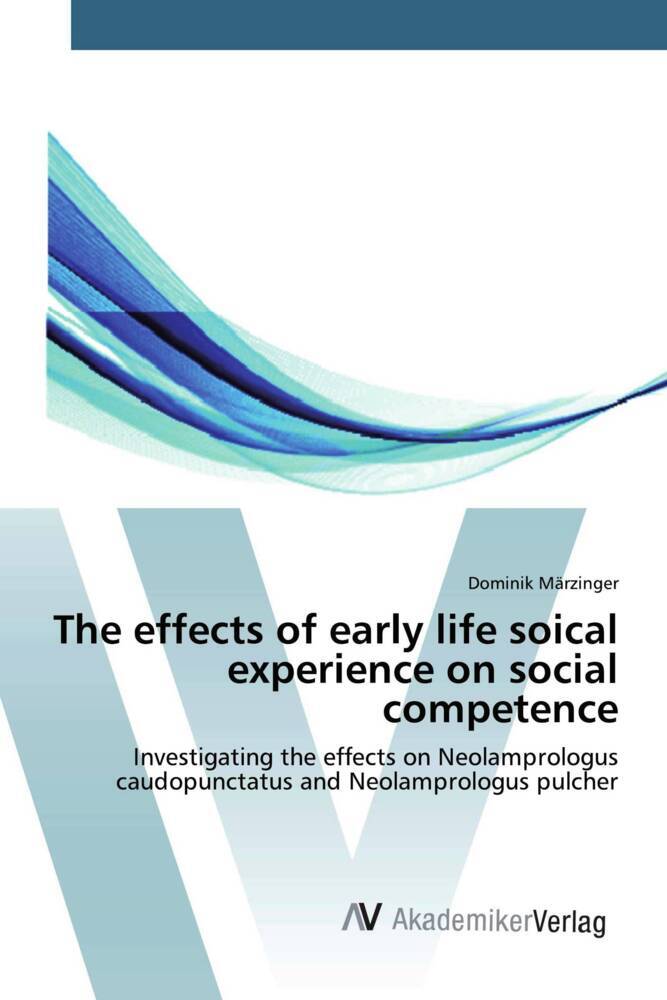 The effects of early life soical experience on social competence