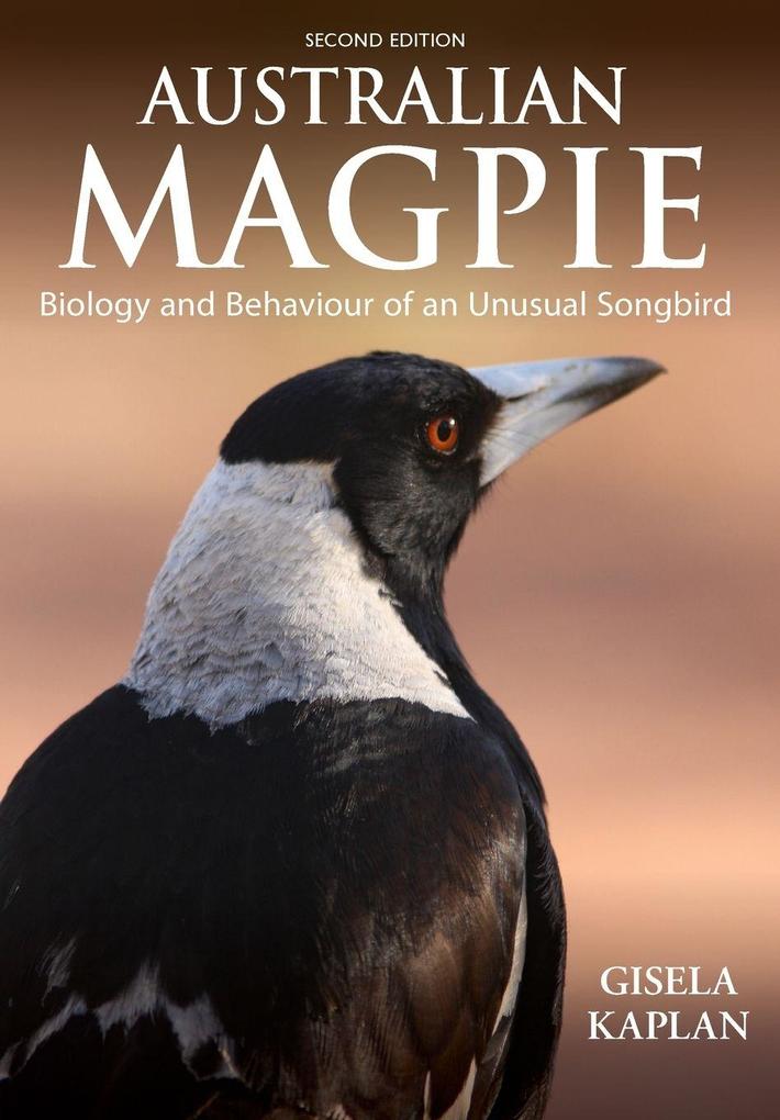 Australian Magpie