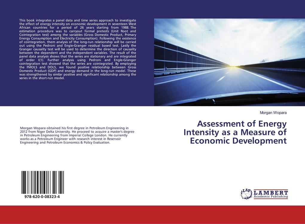 Assessment of Energy Intensity as a Measure of Economic Development