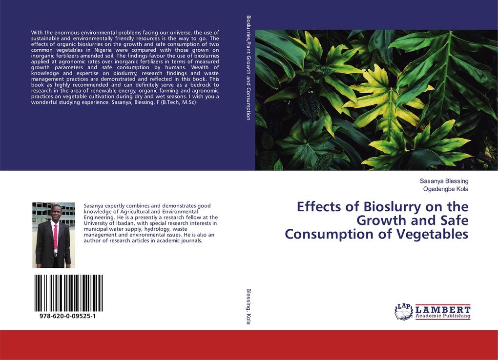 Effects of Bioslurry on the Growth and Safe Consumption of Vegetables