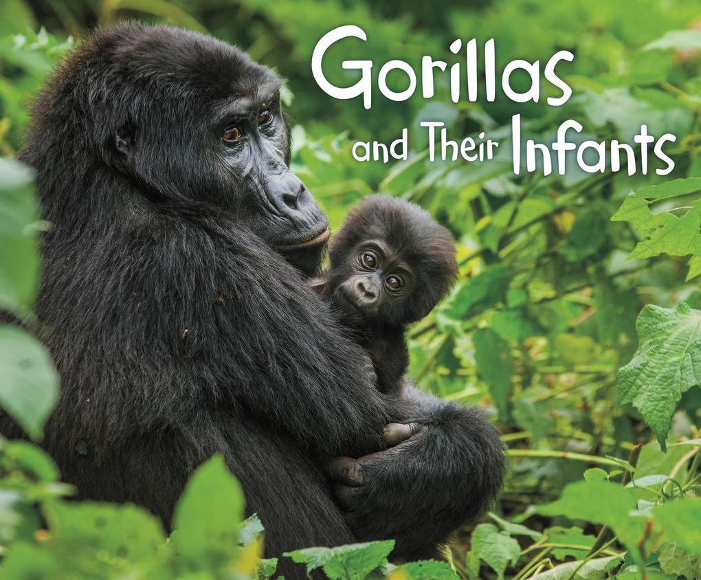Gorillas and Their Infants