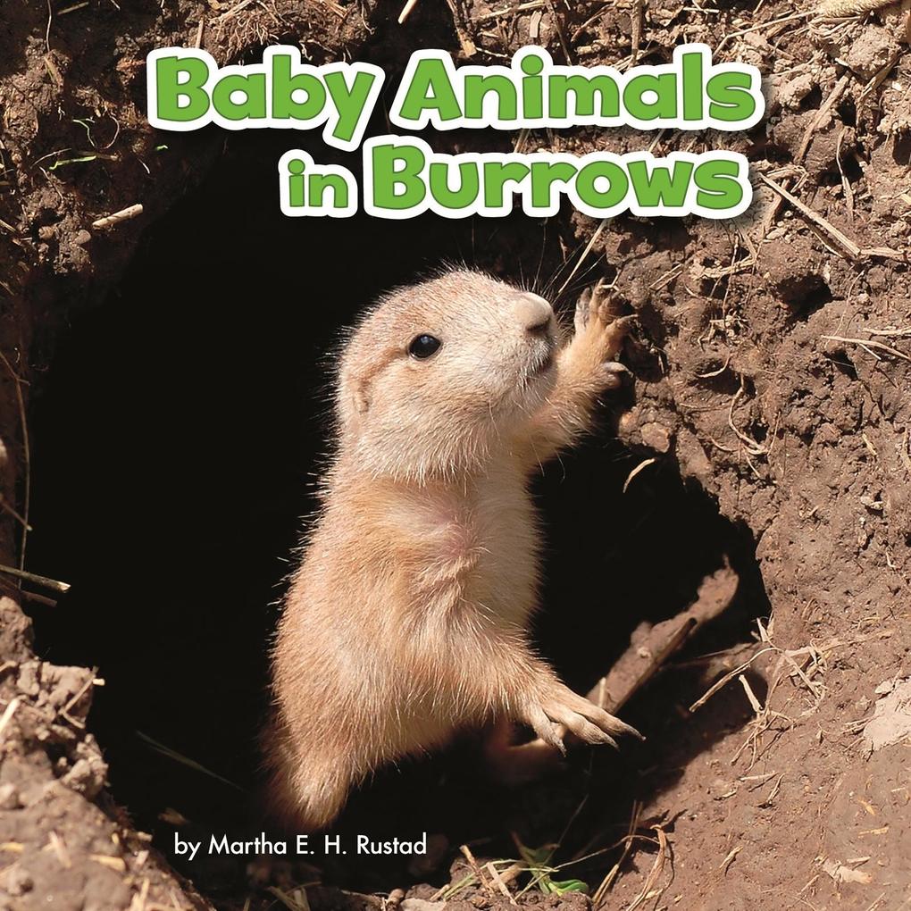 Baby Animals in Burrows