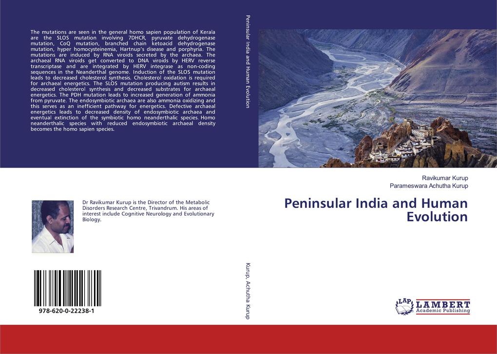 Peninsular India and Human Evolution