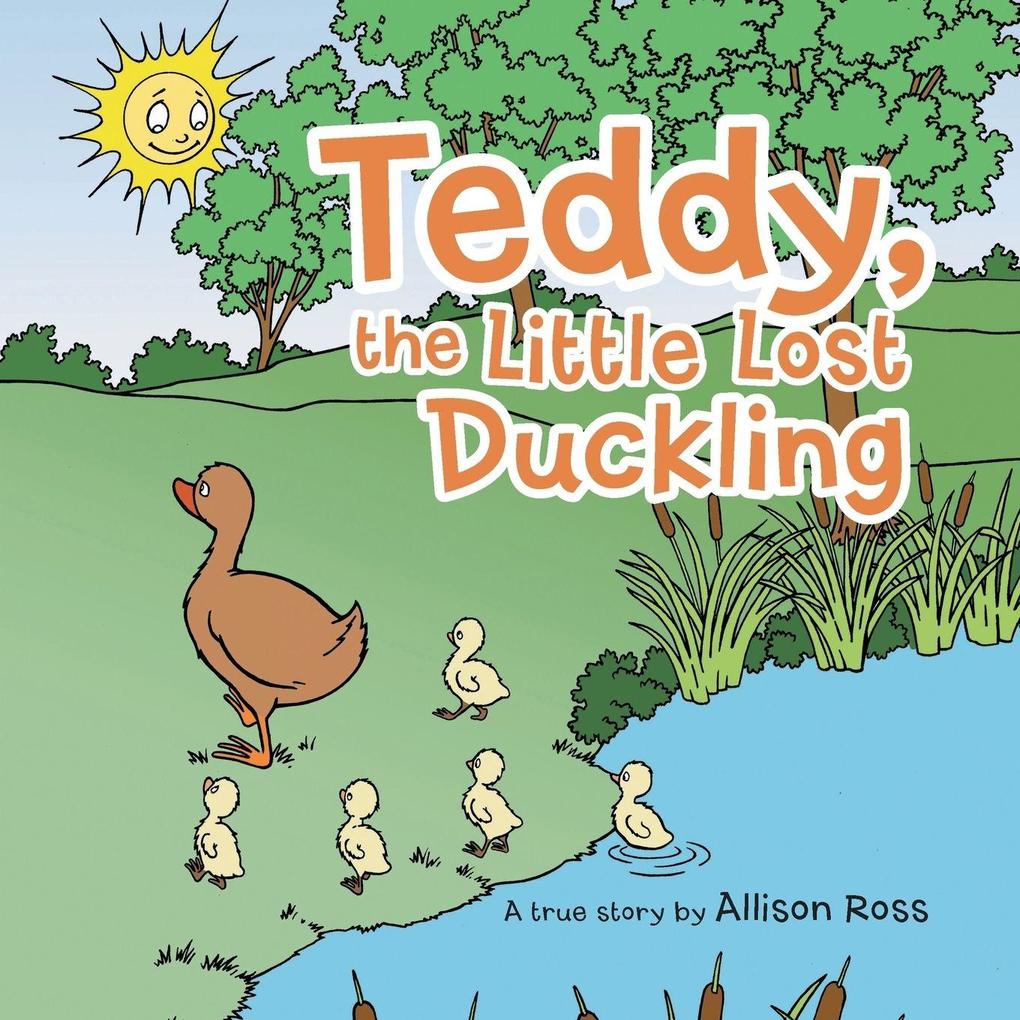 Teddy the Little Lost Duckling