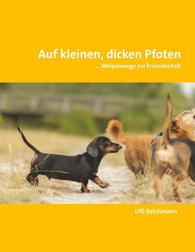 Auf kleinen dicken Pfoten