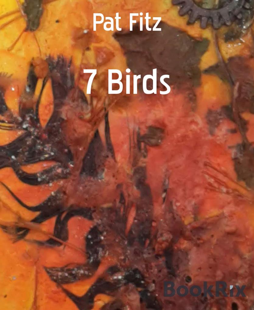 7 Birds