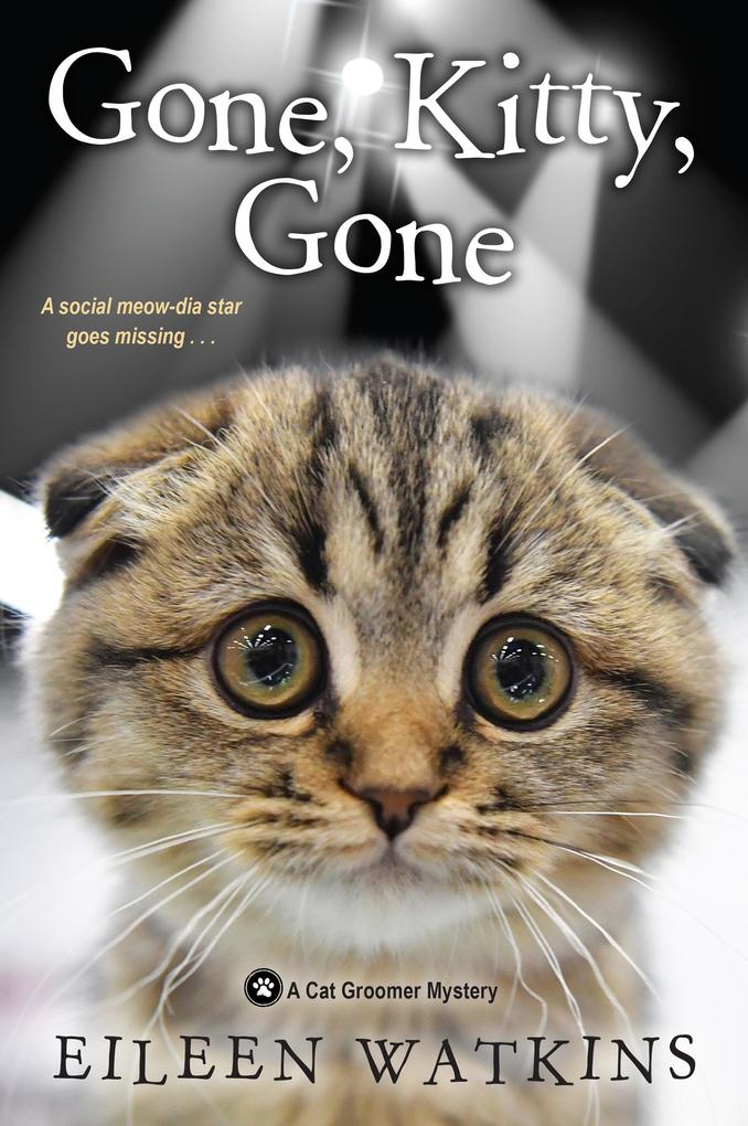 Gone Kitty Gone