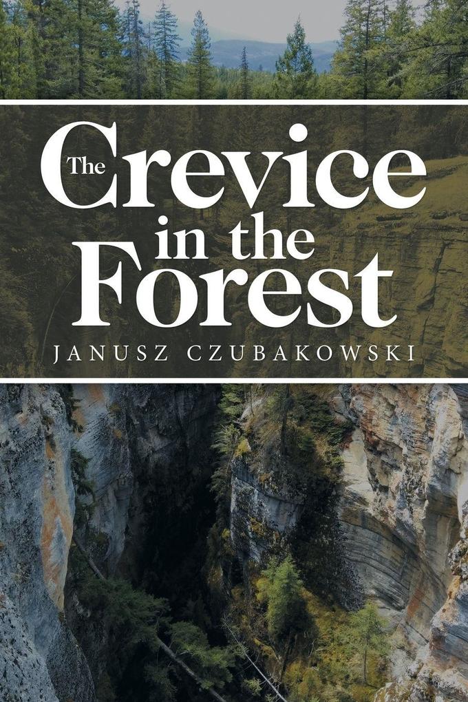 The Crevice in the Forest