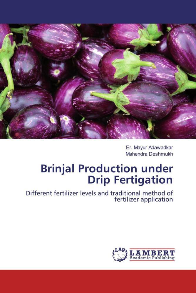 Brinjal Production under Drip Fertigation