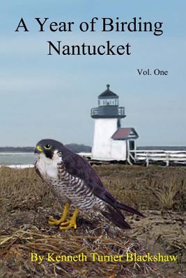 A Year of Birding Nantucket