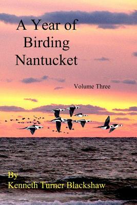 A Year of Birding Nantucket: Volume Three