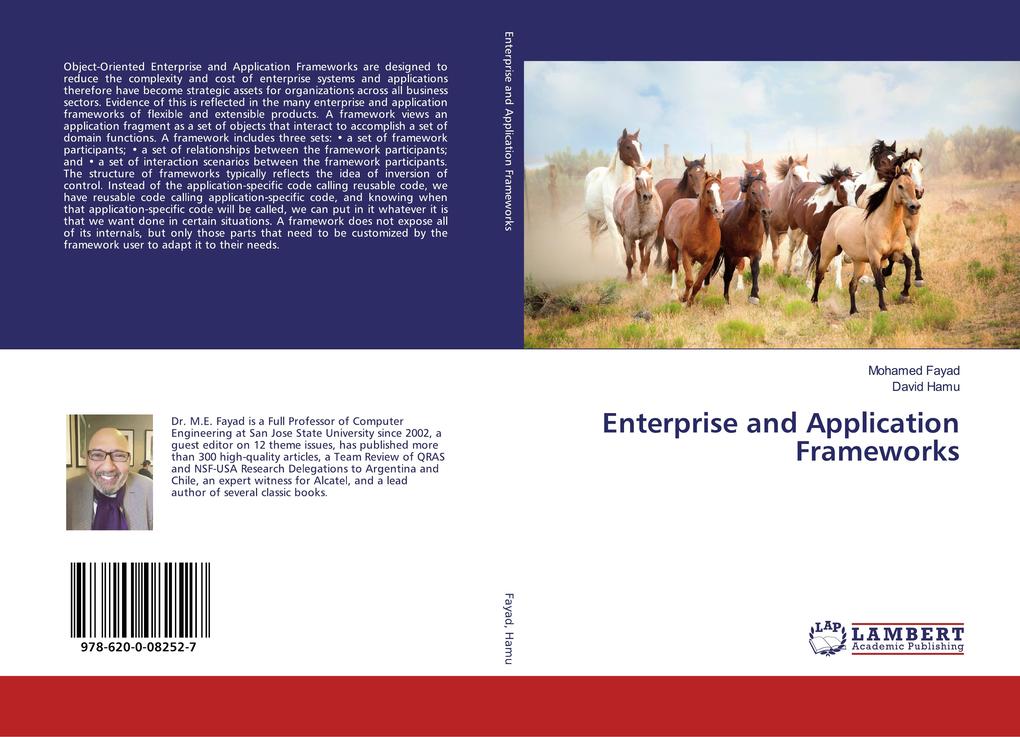 Enterprise and Application Frameworks