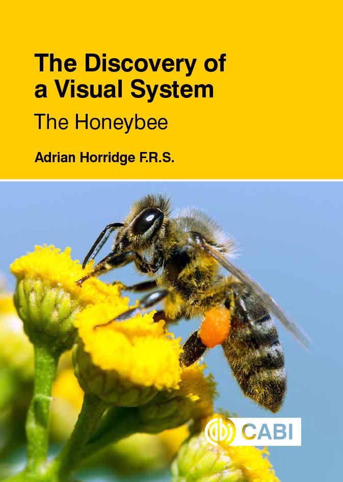 Discovery of a Visual System - The Honeybee The
