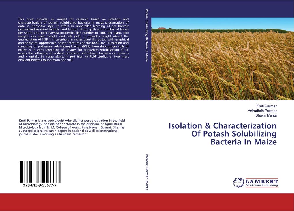 Isolation & Characterization Of Potash Solubilizing Bacteria In Maize