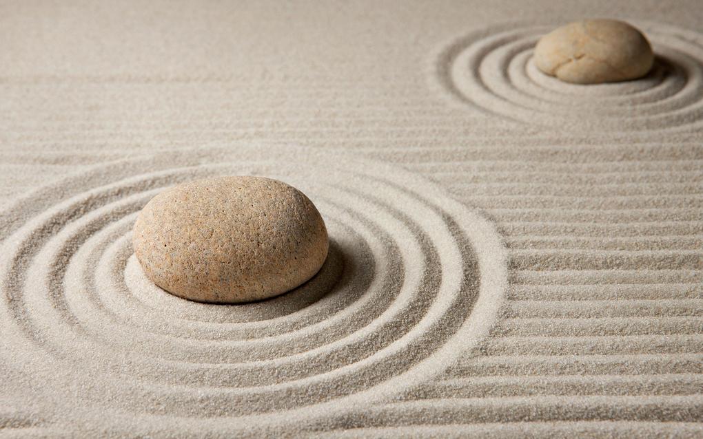 The Zen Way