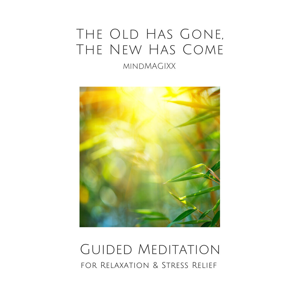Guided Meditation for Relaxation & Stress Relief