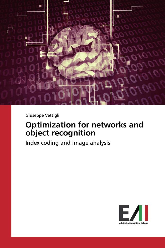 Optimization for networks and object recognition
