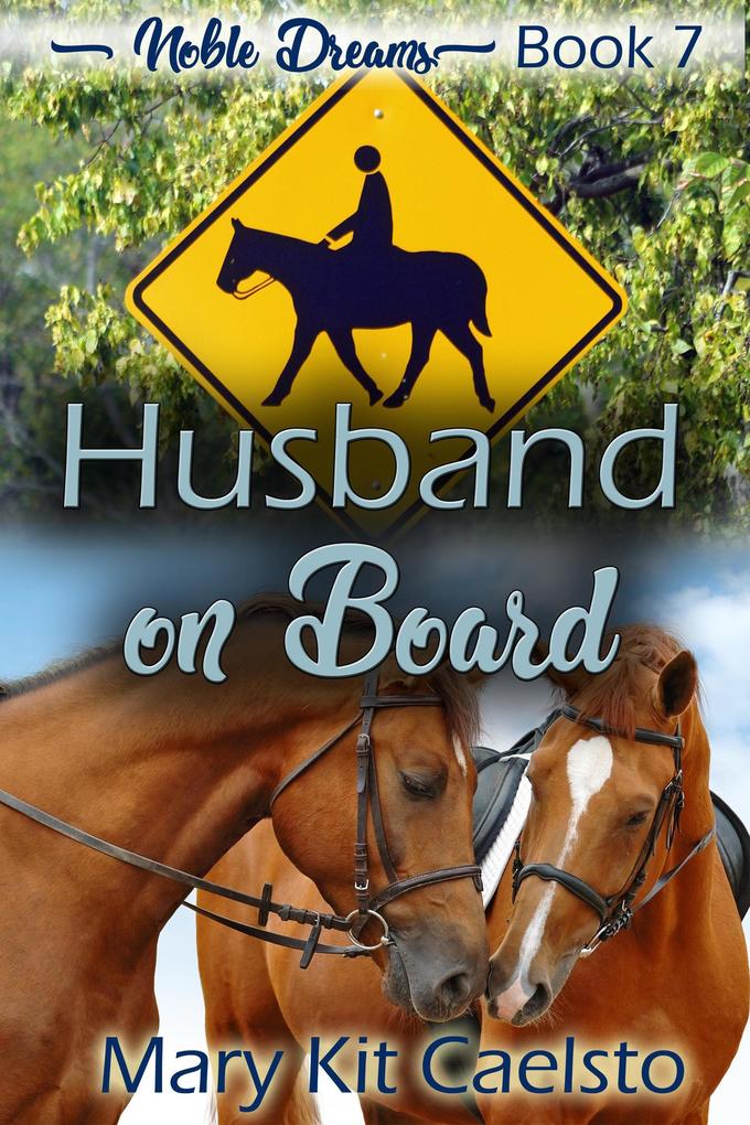 Husband On Board (Noble Dreams #7)
