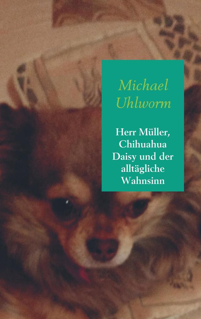 Herr Müller Chihuahua Daisy und der alltägliche Wahnsinn