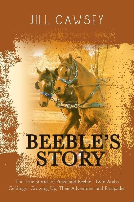 Beeble‘s Story