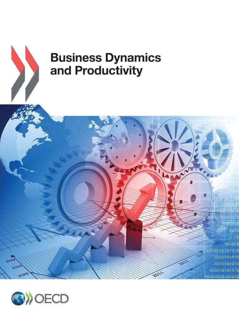 Business Dynamics and Productivity