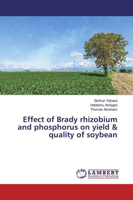 Effect of Brady rhizobium and phosphorus on yield & quality of soybean