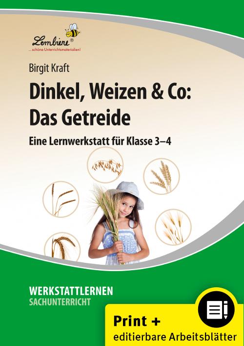 Dinkel Weizen & Co: Das Getreide
