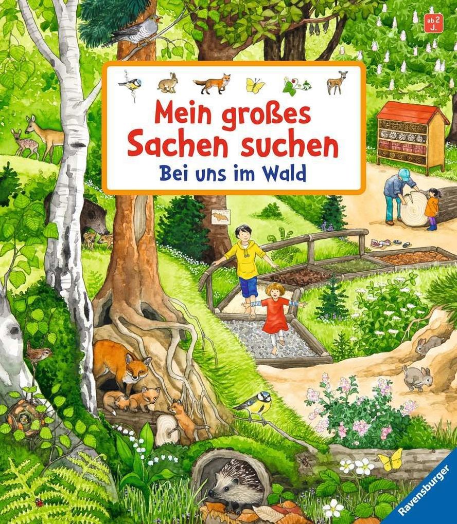 Image of Mein großes Sachen suchen: Bei uns im Wald