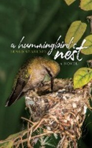 A Hummingbird‘s Nest