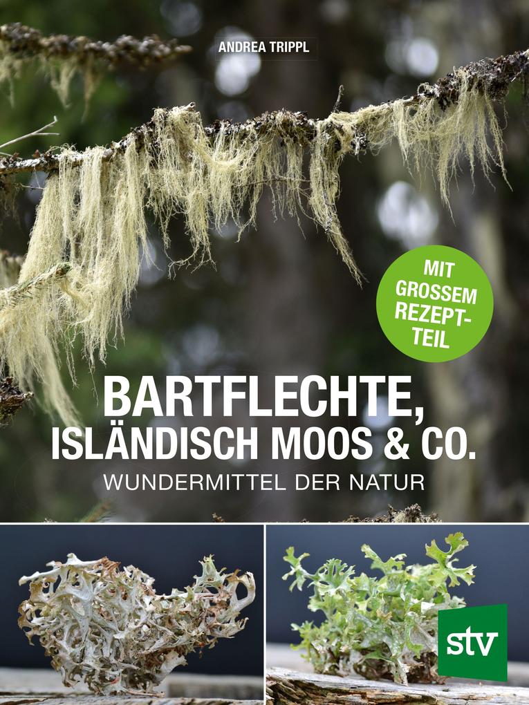 Bartflechte Isländisch Moos & Co.