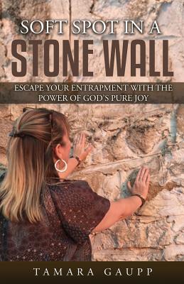 Soft Spot in a Stone Wall: Escape Your Entrapment with the Power of God‘s Pure Joy