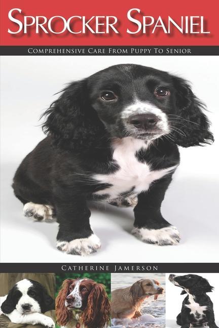 Sprocker Spaniel: Comprehensive Care from Puppy to Senior; Care Health Training Behaviour Understanding Grooming Costs and much mo