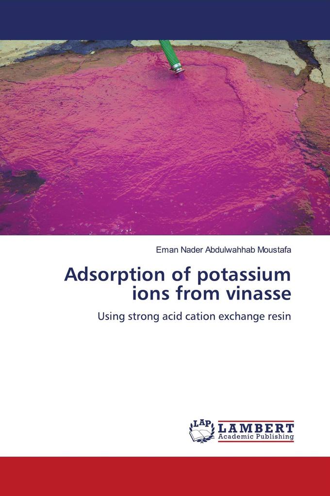 Adsorption of potassium ions from vinasse