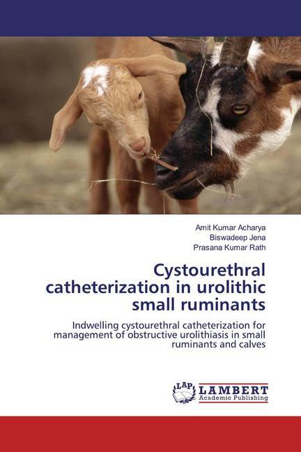 Cystourethral catheterization in urolithic small ruminants