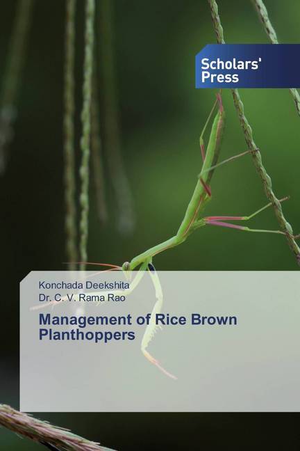 Management of Rice Brown Planthoppers