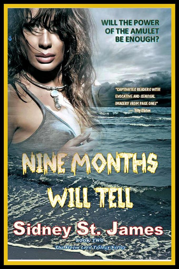 Nine Months Will Tell (The Storm Lord Trilogy Series #2)
