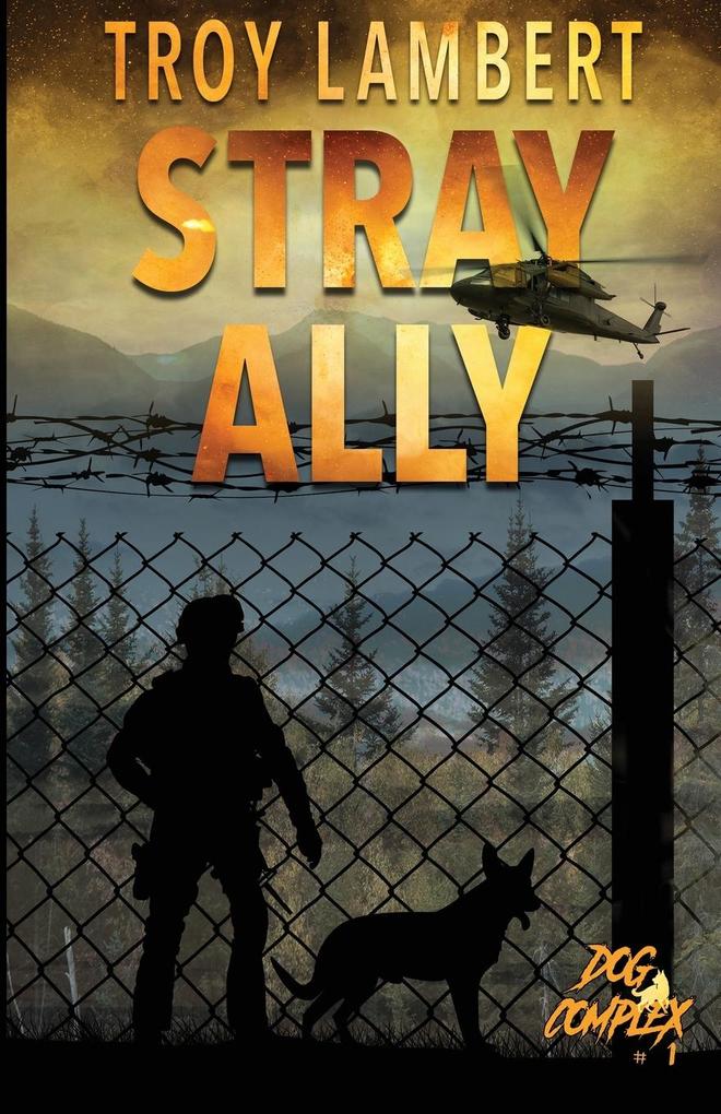 Stray Ally