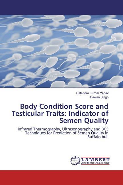 Body Condition Score and Testicular Traits: Indicator of Semen Quality