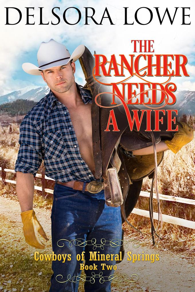 The Rancher Needs a Wife (Cowboys of Mineral Springs #2)